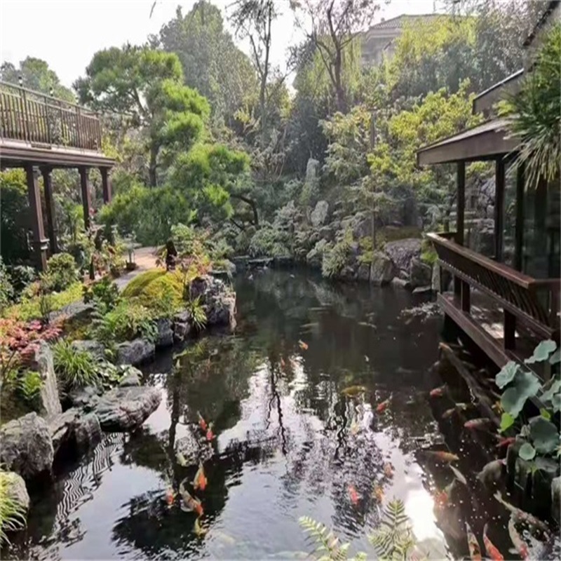 中江假山植物小鱼池